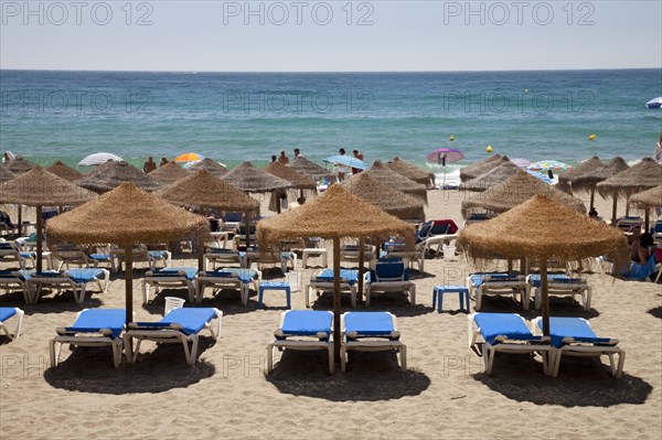 Sun beds and umbrellas on the sandy beach