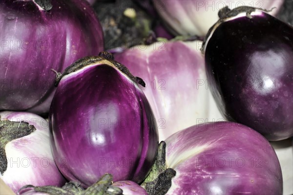 Melanzane Viola