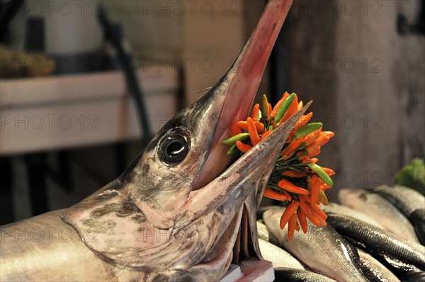 Fish