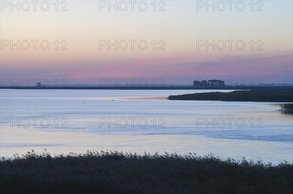 Bodden at dawn