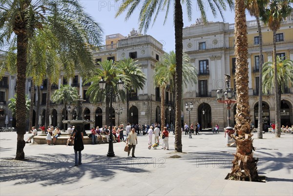 Placa Reial