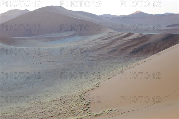 View from Dune 45 on a desert landscape with dunes at dawn