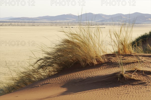 Elim Dune