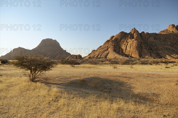 Savannah landscape with granite rocks of Spitzkoppe Mountain and the Pontok Mountains