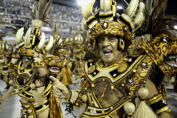 Parade of the samba school Academicos do Salgueiro