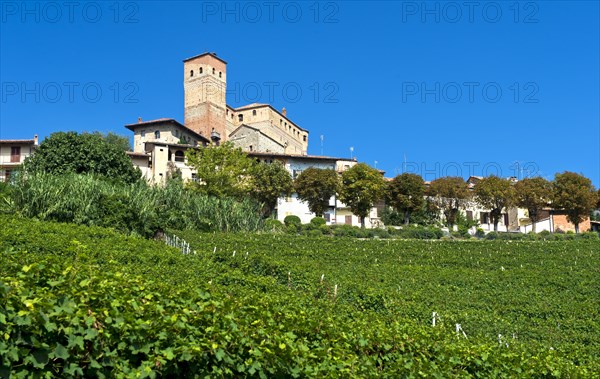 The Castle of Serralunga d'Alba