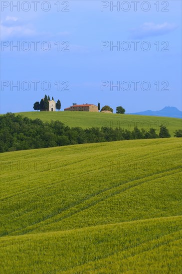 Cappella di Vitaleta. Vitaleta Chapel