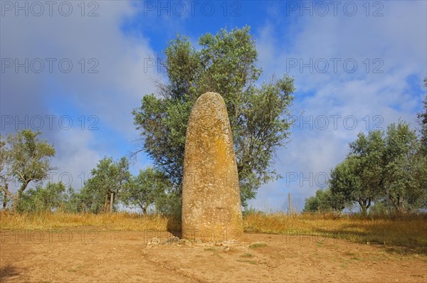 Menhir dos Almendres