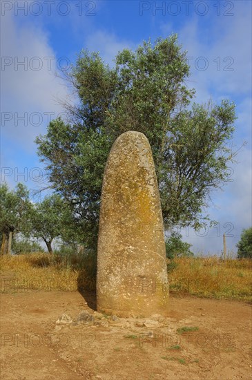Menhir dos Almendres