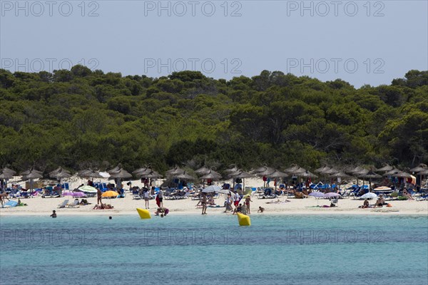 Beach of Platja Es Trenc
