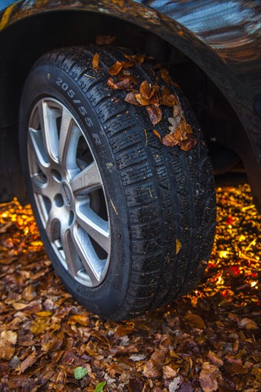 Car driving on a street covered with leaves