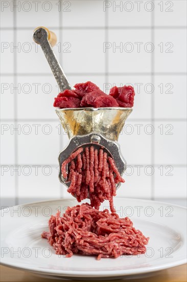 Meat-grinder