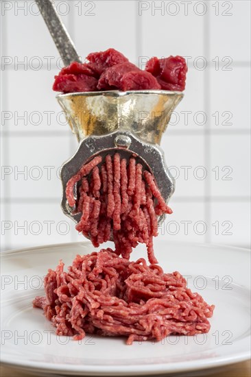 Meat-grinder