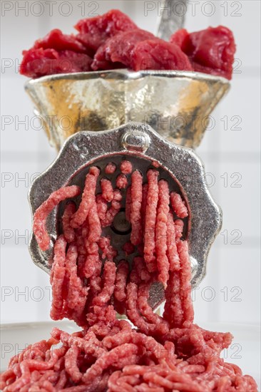 Meat-grinder