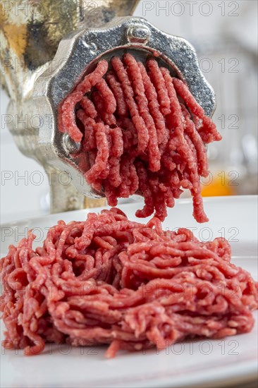 Meat-grinder