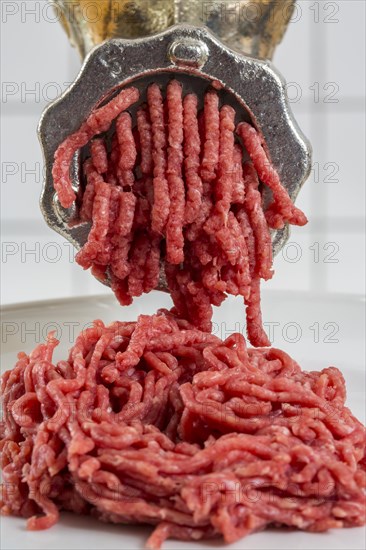 Meat-grinder