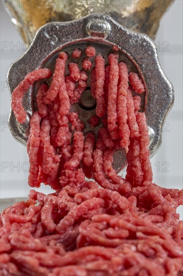 Meat-grinder