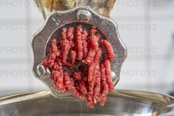 Meat-grinder