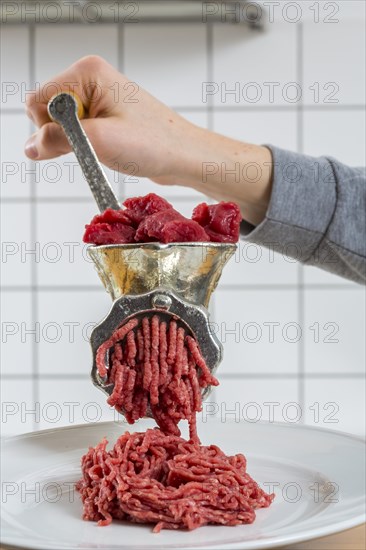 Meat-grinder