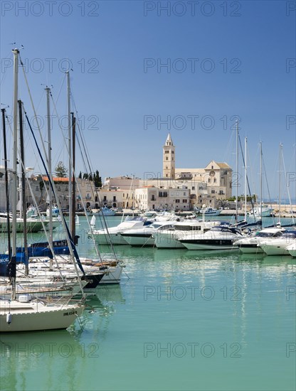 Marina and Trani Cathedral