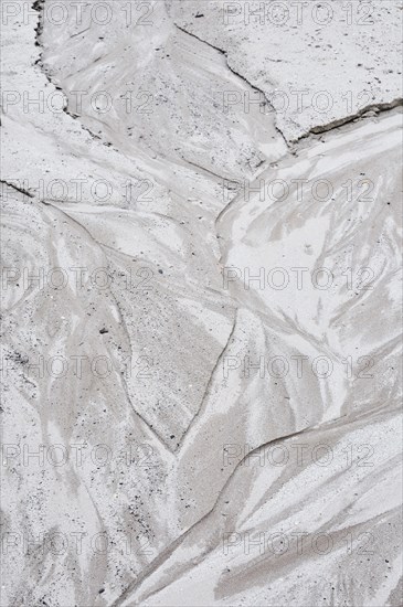 Landscape detail in a former open-cast mine near Finsterwalde
