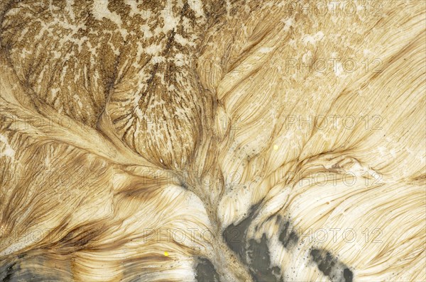 Foam carpet of algae in a mountain stream