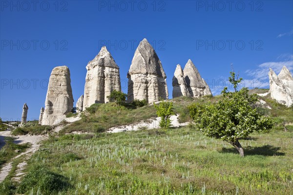 Fairy Chimneys made of tufa in the Valley of Love near the World Heritage Site of Goereme