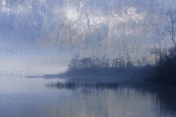 Early morning on lake Offensee