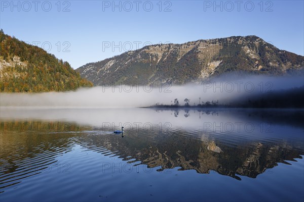 Early morning on lake Offensee