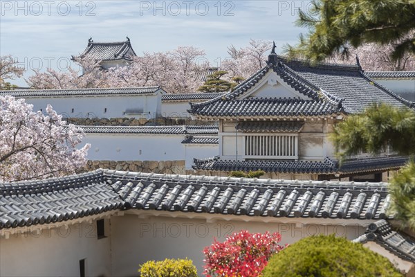 Outside Himeji Castle