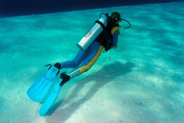 Diver