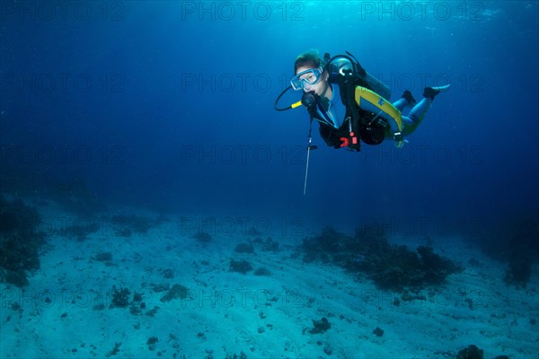 Diver