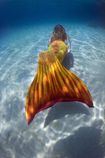 Mermaid
