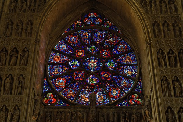 Cathedral of Notre Dame