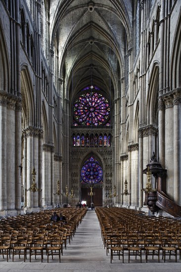 Cathedral of Notre Dame