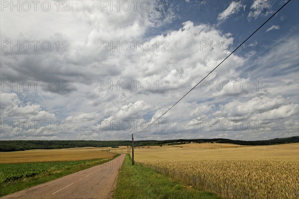 Near Pierrecourt along the D5 road