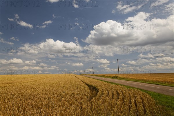 Fields near Pierrecourt along the D5 road