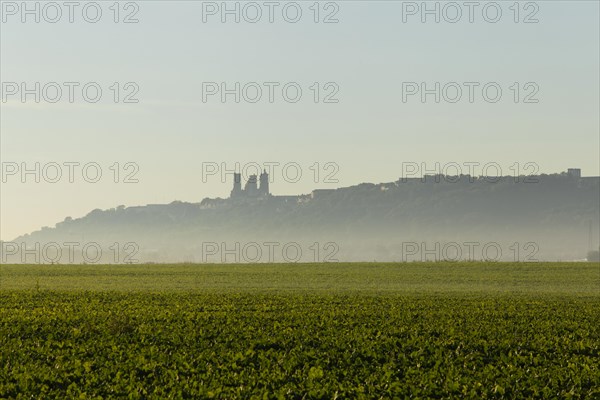 Laon Cathedral in the morning mist