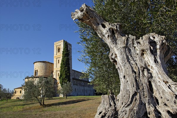 Sant'Antimo Abbey