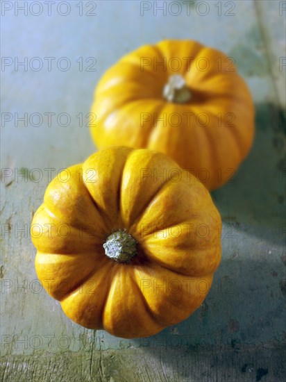 Mini orange pumpkins