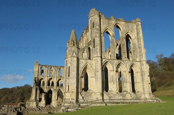 Rievaulx Abbey
