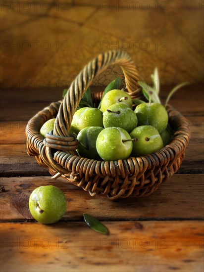 Fresh whole greengages