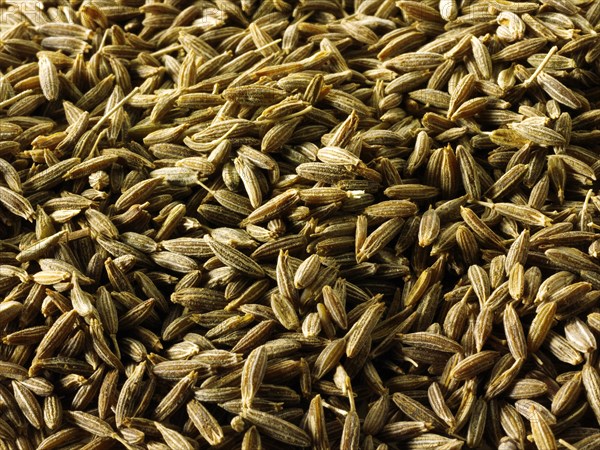 Cumin seeds