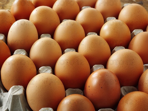 Fresh brown free range eggs