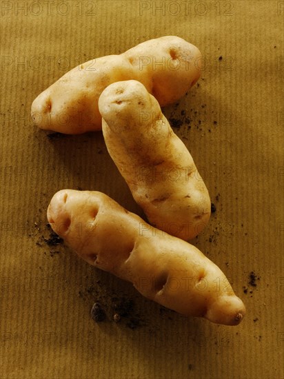 Fresh organic Anya potatoes