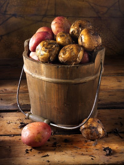 Maris Piper potatoes