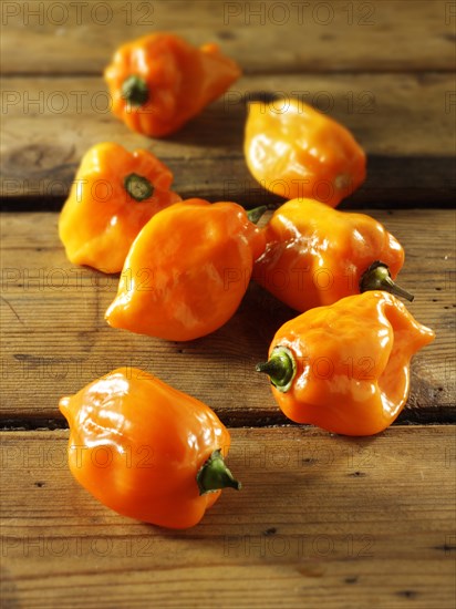 Fresh Scotch Bonnet chilies