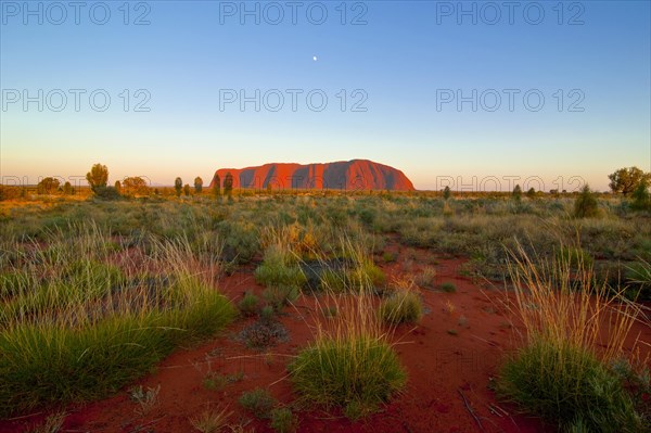 Uluru