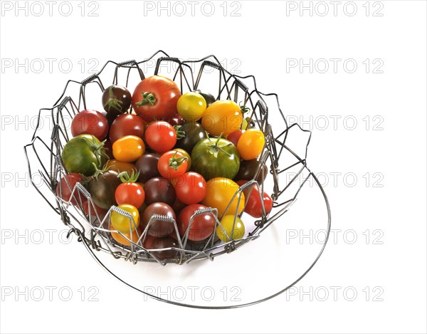 Various wild tomatoes in a wire basket