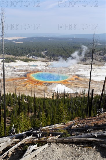 Grand Prismatic Spring